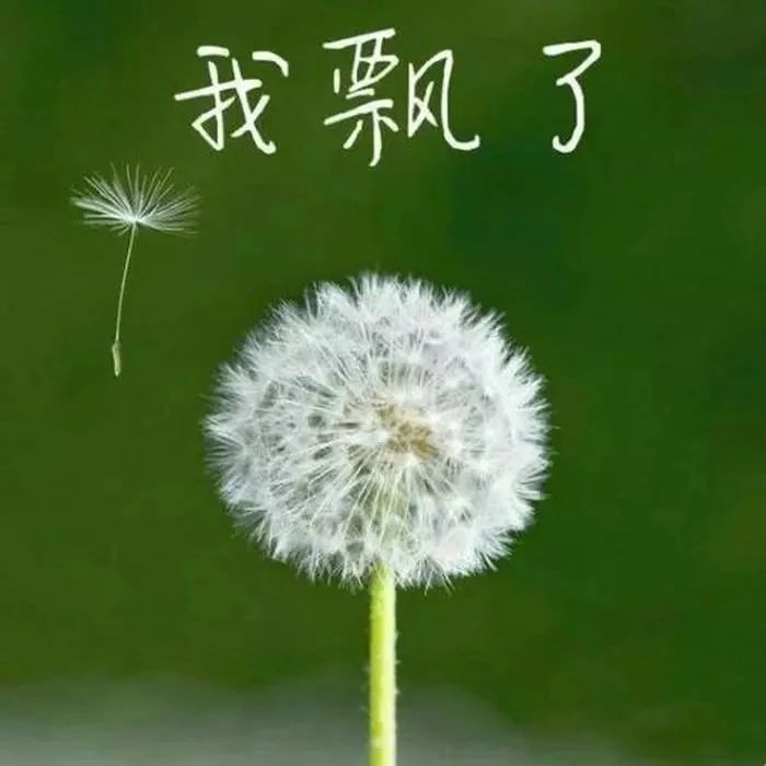 8F07
